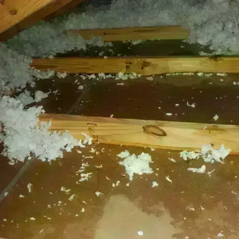 Attic Water Damage in Iowa, LA