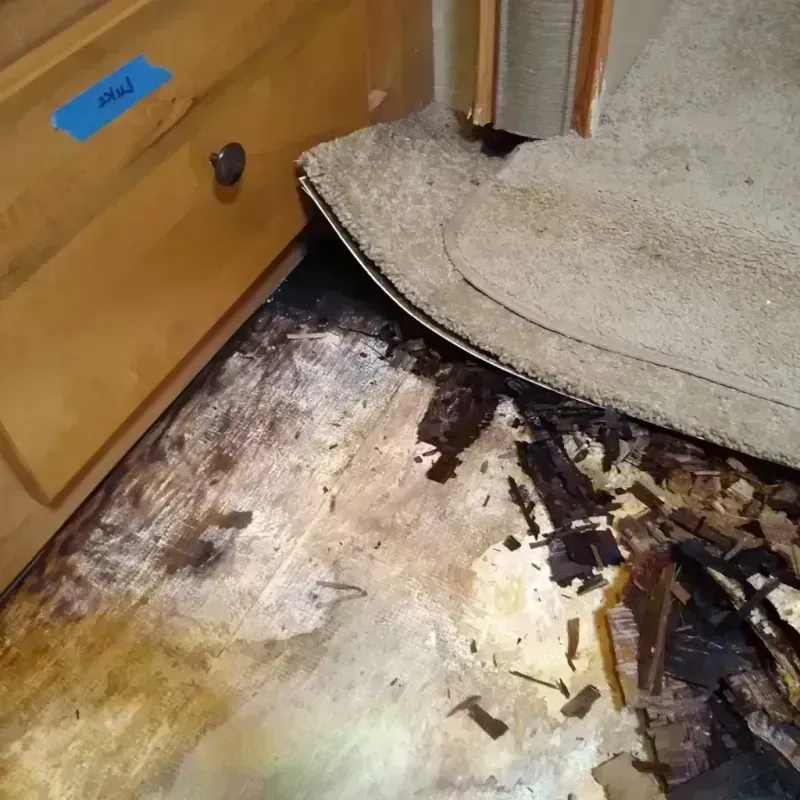 Wood Floor Water Damage in Iowa, LA